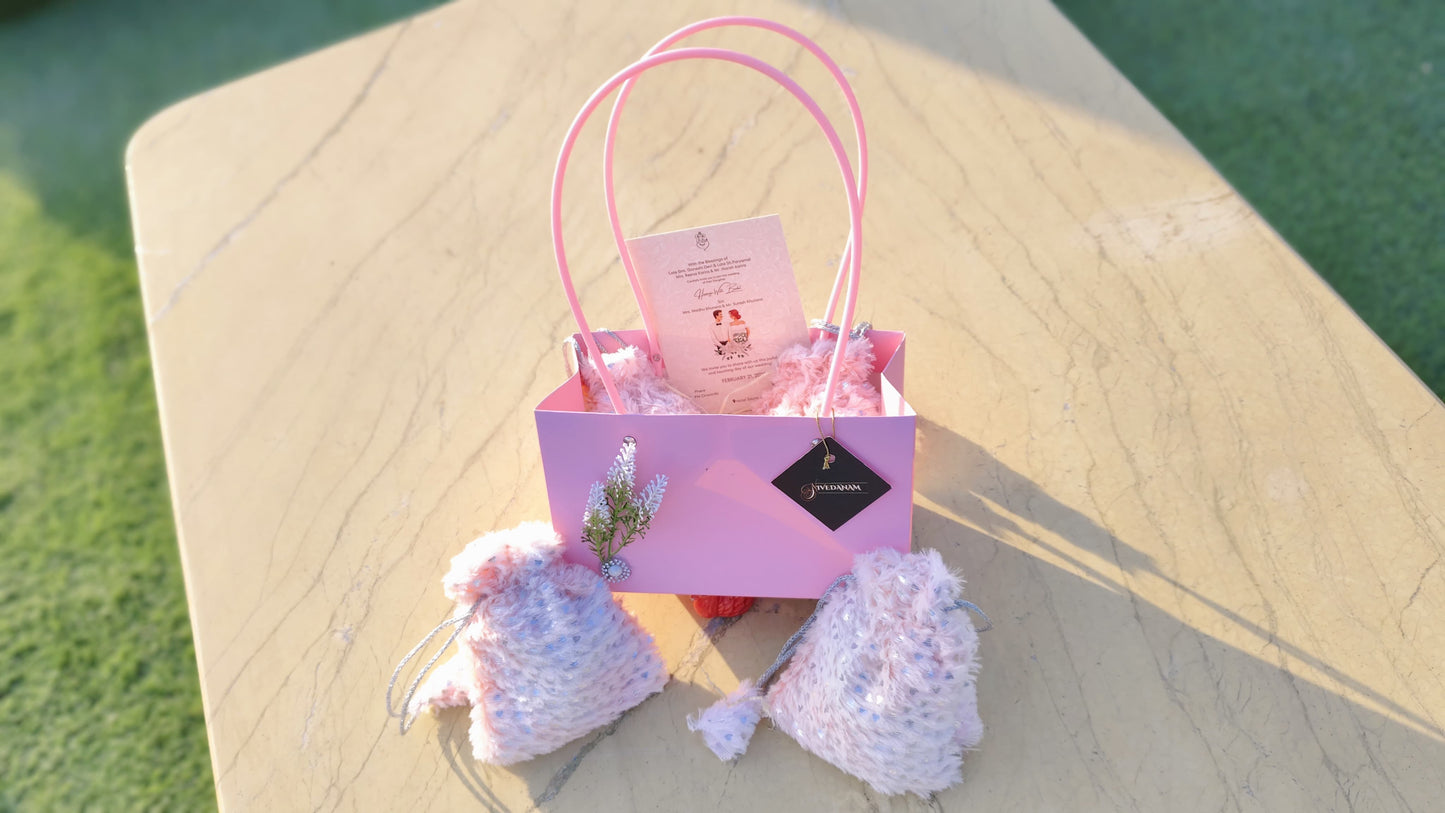 Pastel Shade Gift Bags