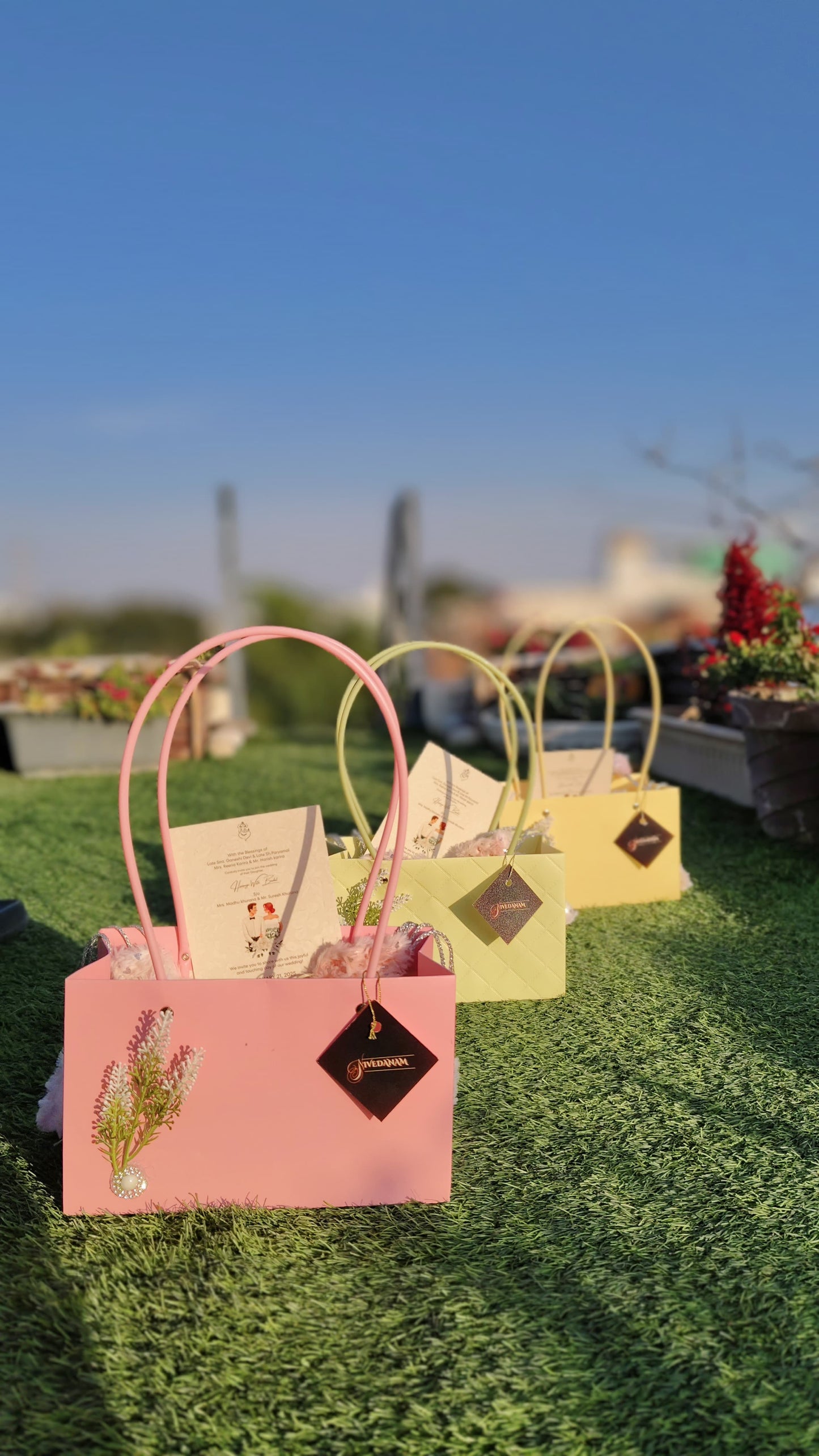 Pastel Shade Gift Bags