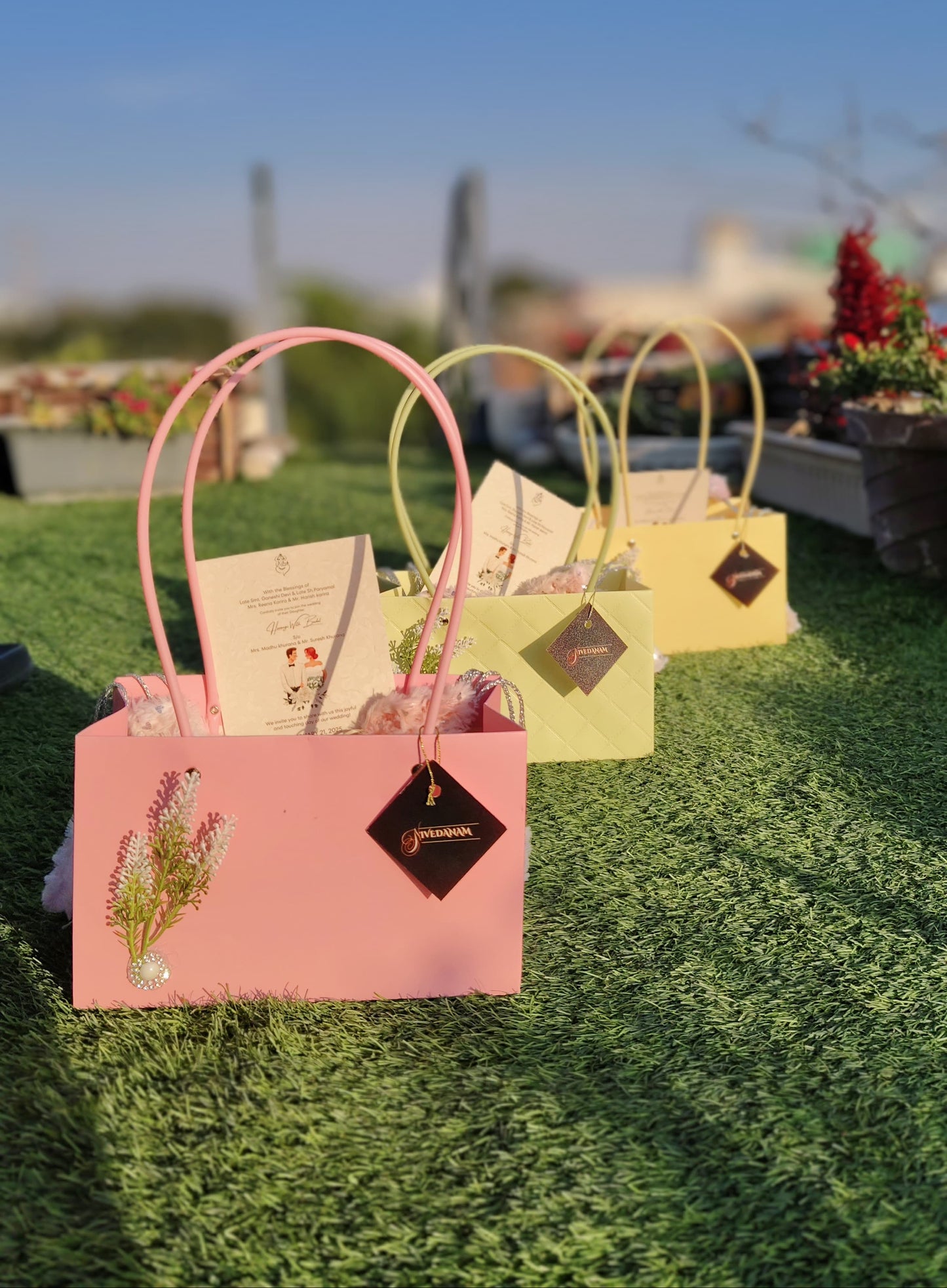 Pastel Shade Invitation Bags