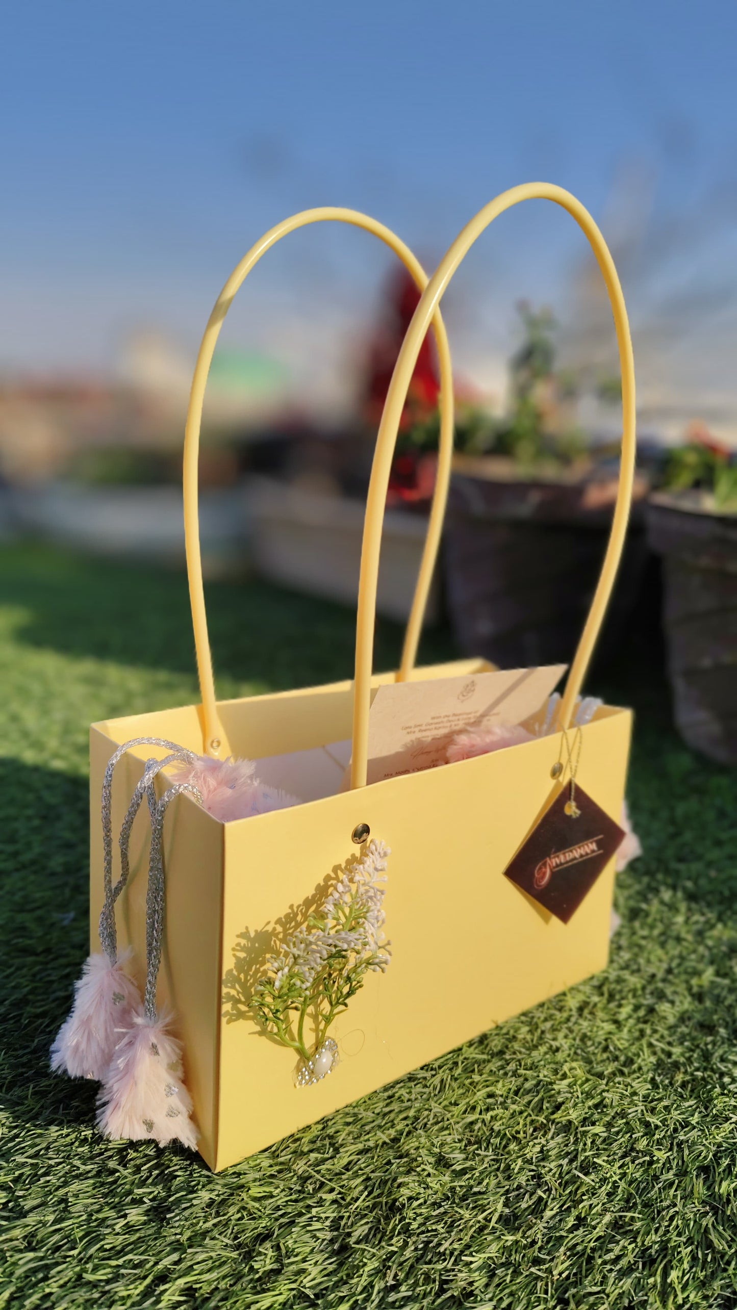 Pastel Shade Gift Bags