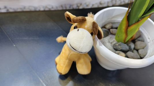 Baby Giraffe Soft Toy